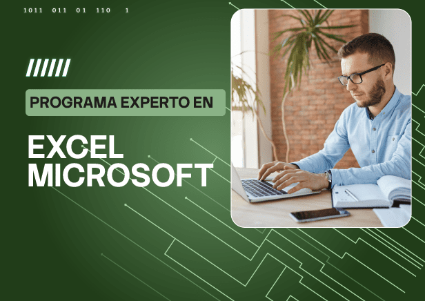 PEX EXCEL MICROSOFT