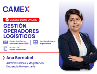 GESTIÓN DE OPERADORES LOGÍSTICOS