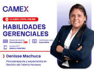 HABILIDADES GERENCIALES