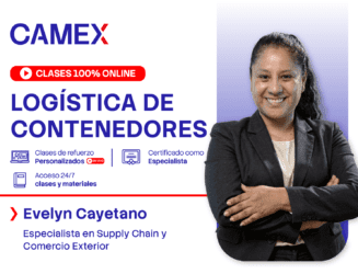 CAMEX - LOGÍSTICA-DE-CONTENEDORES