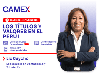 LOS TÍTULOS Y VALORES EN EL PERÚ
