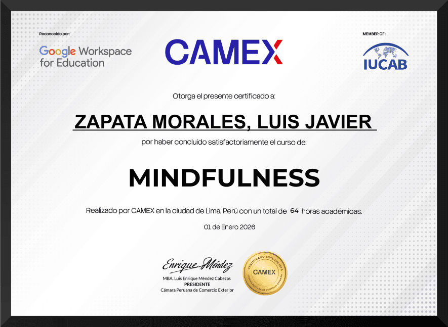 MINDFULNESS