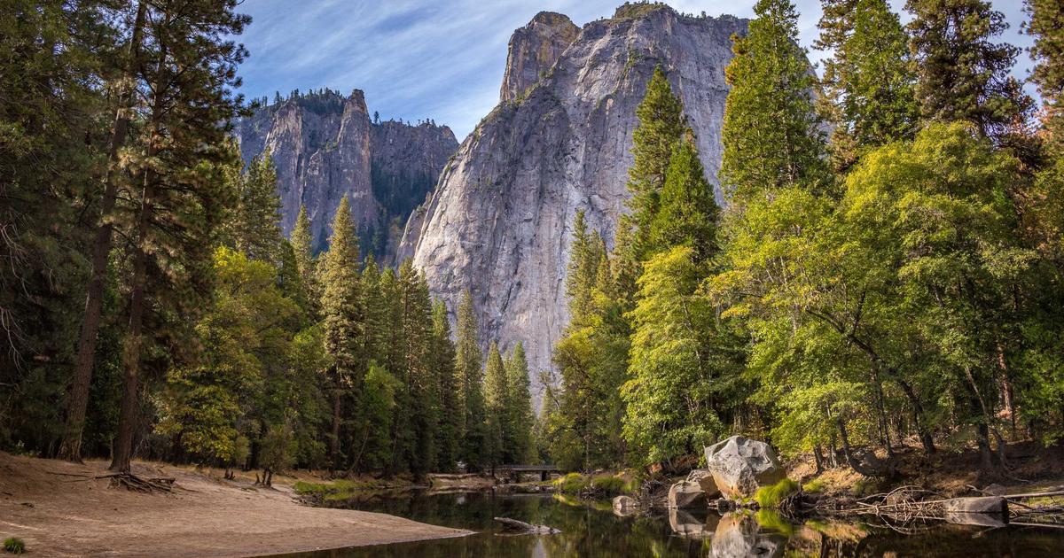 Adobe asistente IA Photoshop Premiere Lightroom lenguaje natural