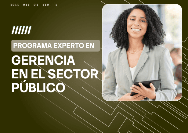PEX GERENCIA EN EL SECTOR PUBLICO