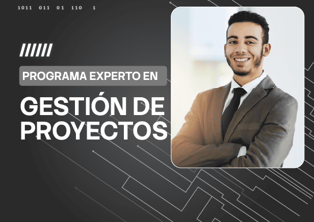 PEX GESTION DE PROYECTOS