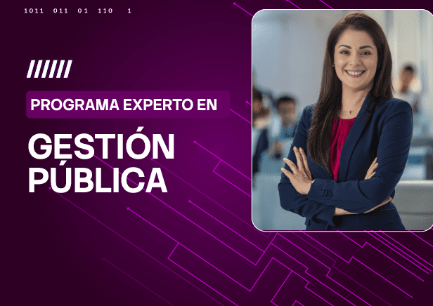 PEX GESTION PUBLICA
