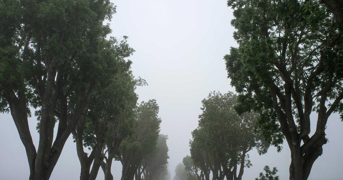Fe en el Peru Plan de Gobierno 2026 descentralizacion meritocracia